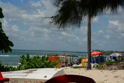 DSC_7667 (Large).JPG